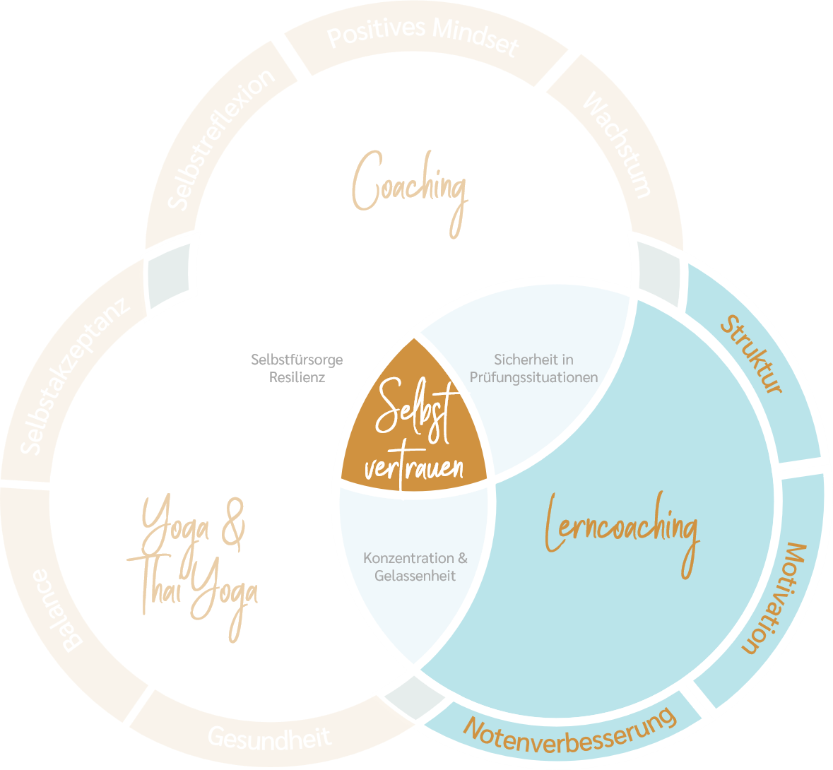 Venn_privat_Nachilfe_neu